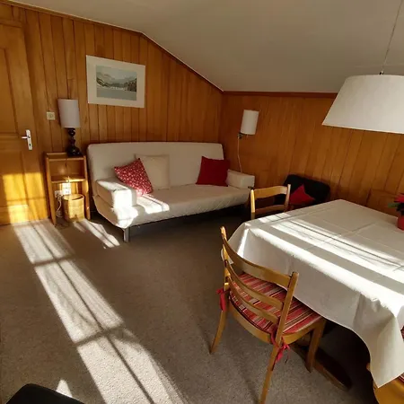 Baernermutz # 2 By Interhome דירה לנק